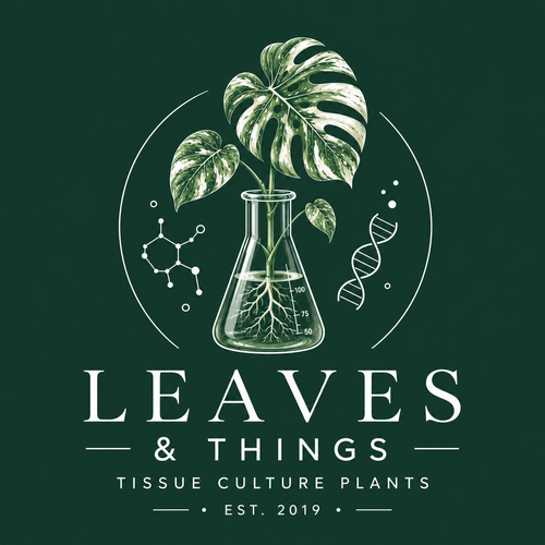 SolsLeavesNThings logo